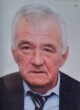 Vladimir Nikolić